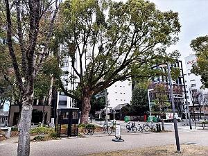 NAGOYA - Centre Ville et Vie Quotidienne - Janvier 2024 - 070